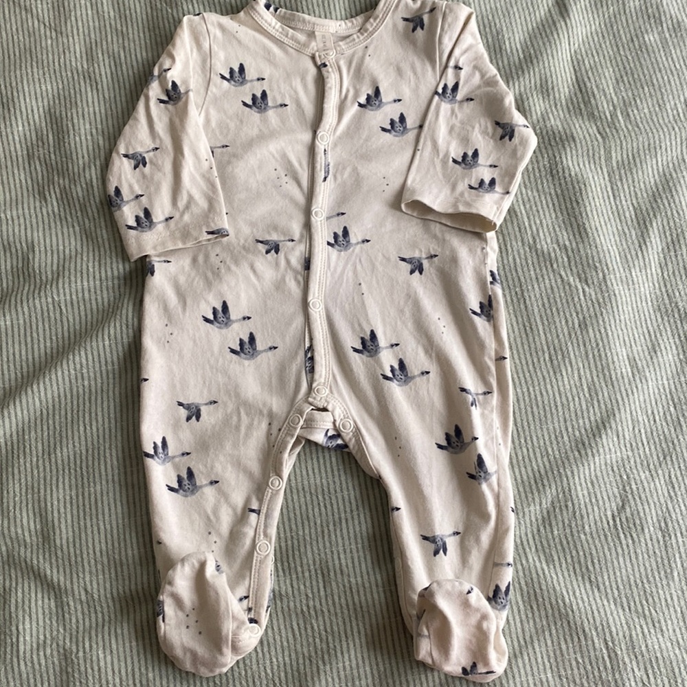 Baby Pyjama, rose in April, 3m